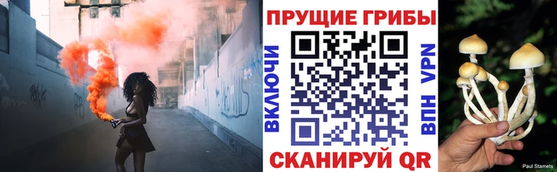 Псилоцибиновые грибы Magic Shrooms  дарнет шоп  Томари 