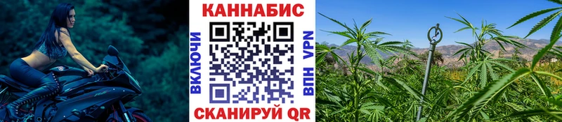 кракен ССЫЛКА  Томари  Конопля OG Kush 